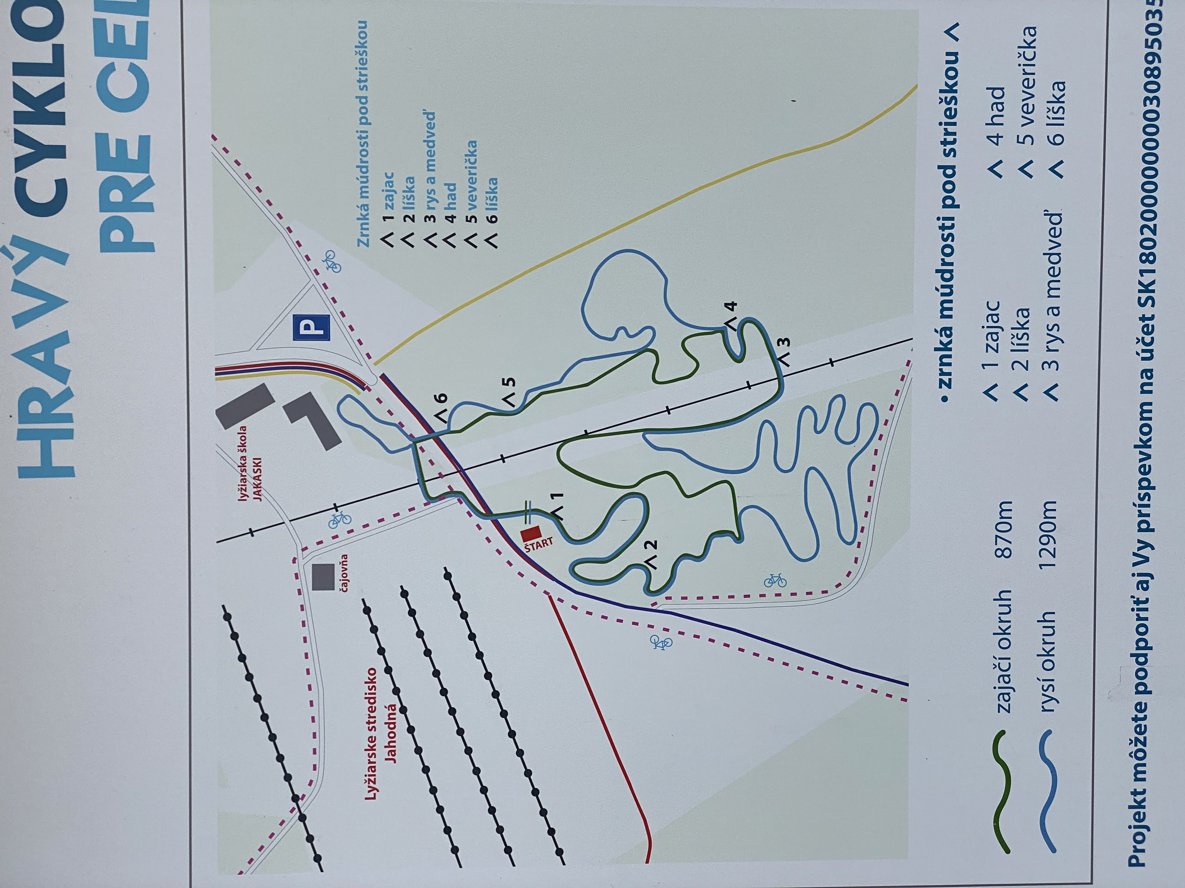 MTB fun trails for kids
